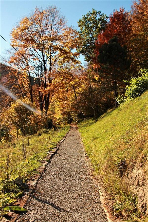 Letniskowa 10 Villa Czernichow  Dış mekan fotoğraf